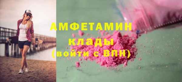 прущие грибы Баксан