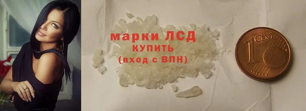 прущие грибы Баксан