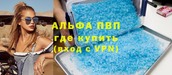 прущие грибы Баксан