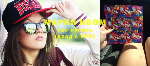 прущие грибы Баксан