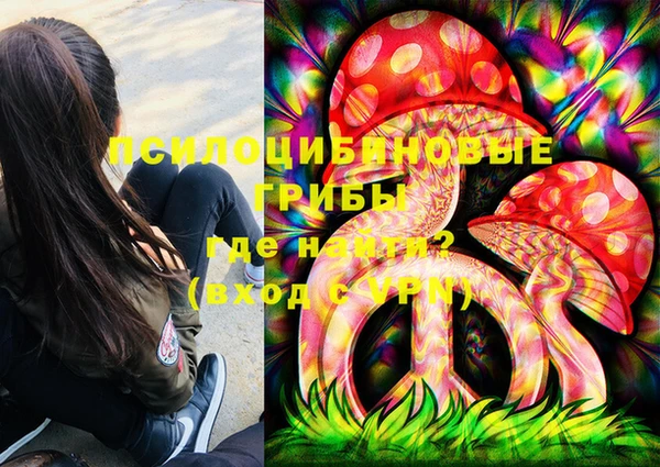 прущие грибы Баксан